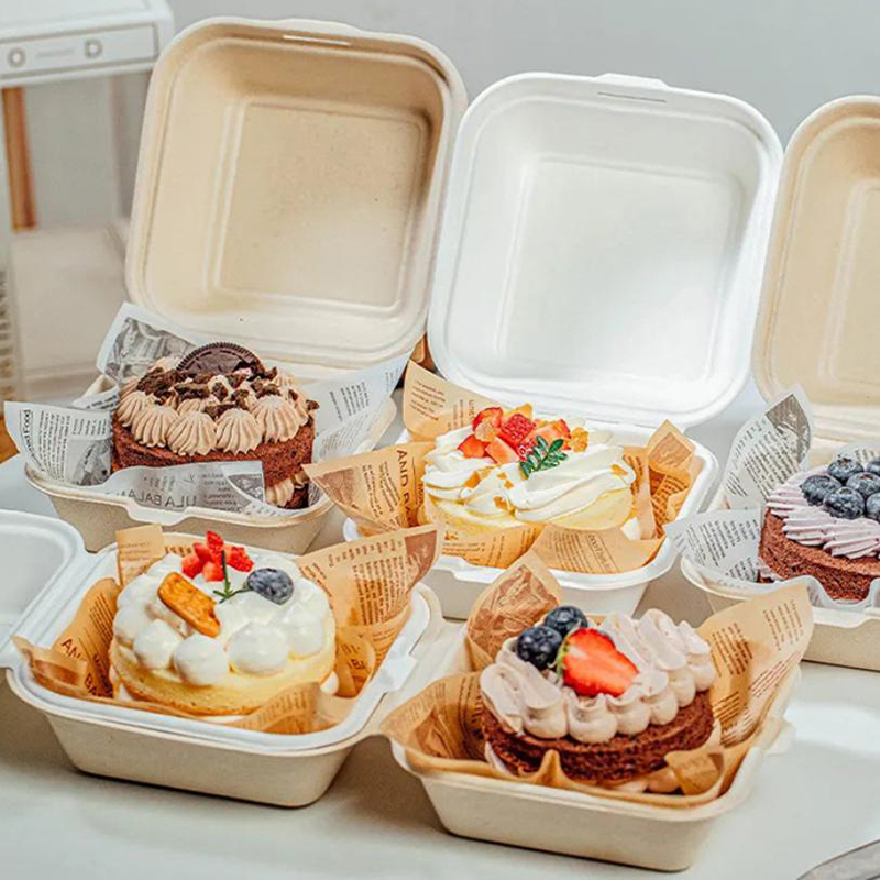 【Nice】10pcs Disposable Bento F - Nice Food Snacks ulasan dan harga