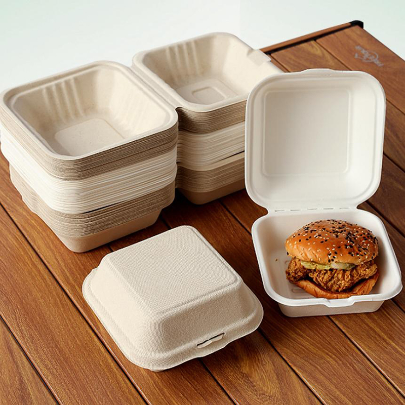 【Nice】10pcs Disposable Bento F - Nice Food Snacks ulasan dan harga