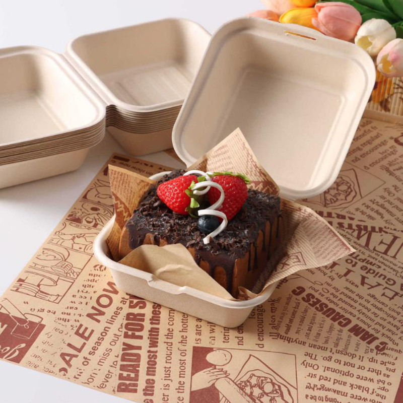 【Nice】10pcs Disposable Bento F - Nice Food Snacks ulasan dan harga